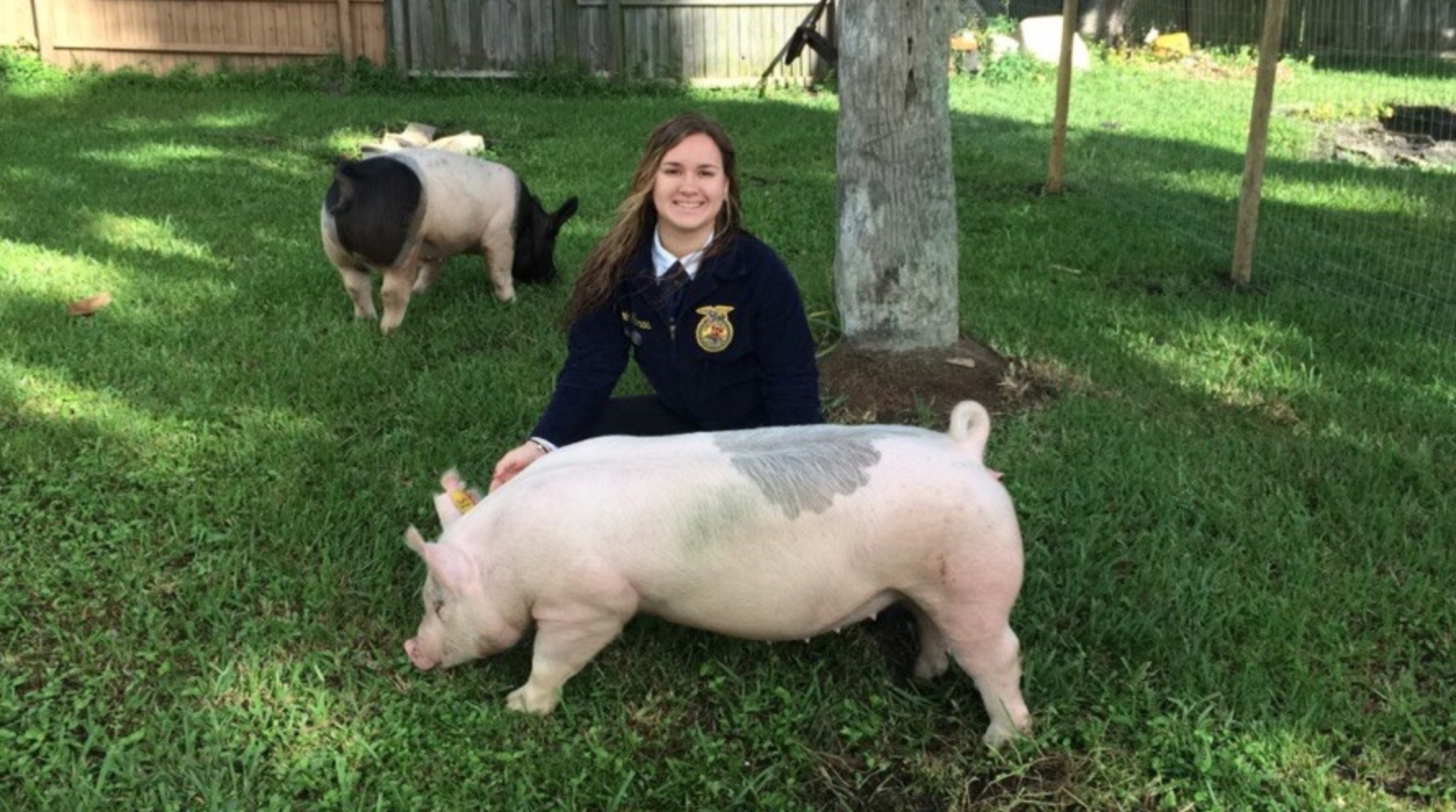 OFI 130: Get Your Pig Business Going! | FFA SAE Edition | Nicole Thomas | Fort Pierce/Westwood High School FFA
