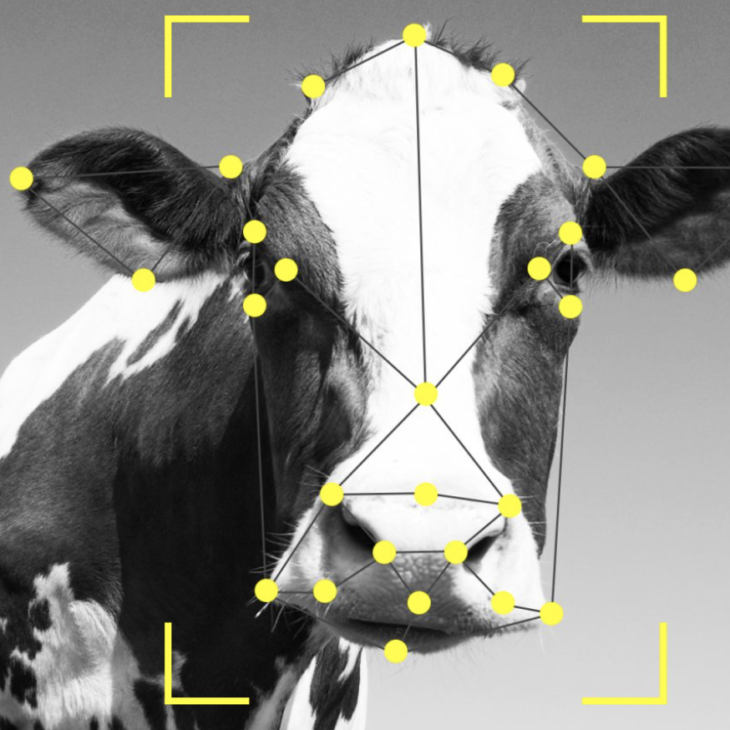 OFI 1815: Facial Recognition Software For Your Livestock | Rural Crime Episode